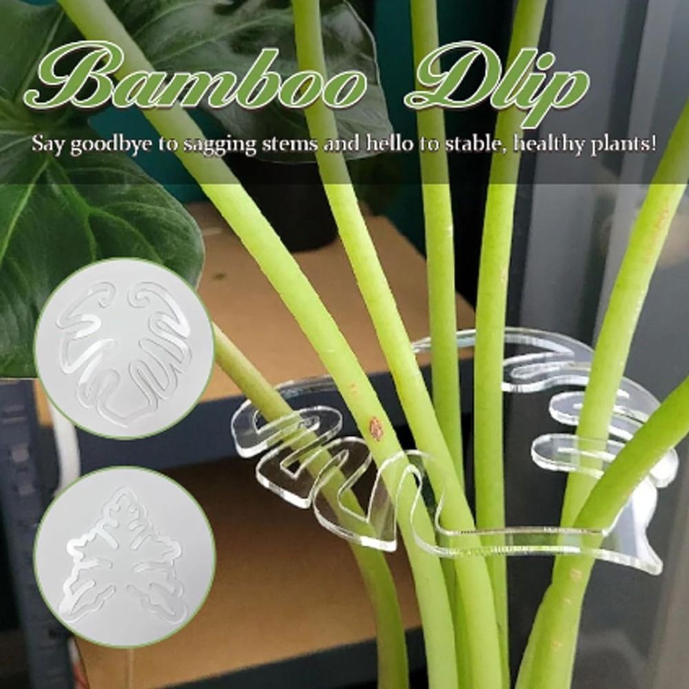 Smart Garden Storage - 1/2 SZTUK Wielokrotnego użytku Bambusowy zacisk