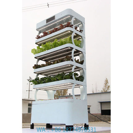 Smart Garden In Home - Systemy hydroponiczne do uprawy w domu,