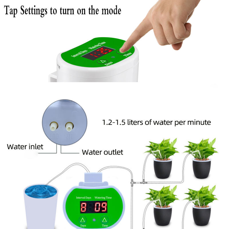 Inteligentny, czasowy automaty – Smart Zen Garden recenzja i cena
