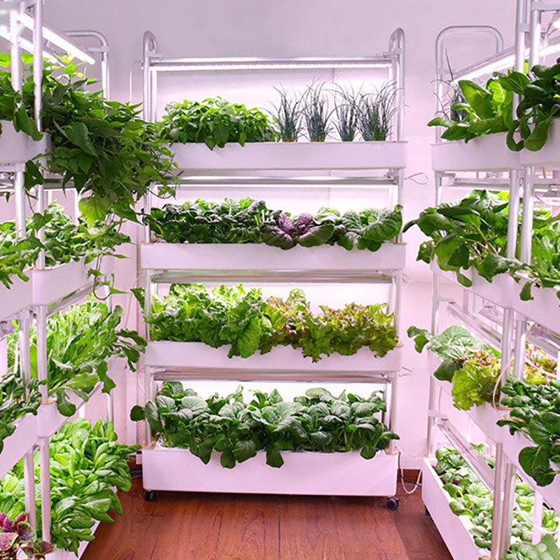 System uprawy hydroponiki Pion – Smart Garden Box recenzja i cena