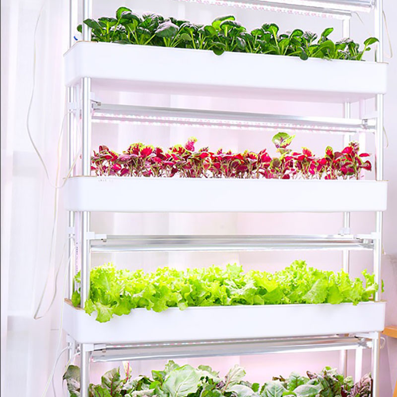 System uprawy hydroponiki Pion – Smart Garden Box recenzja i cena