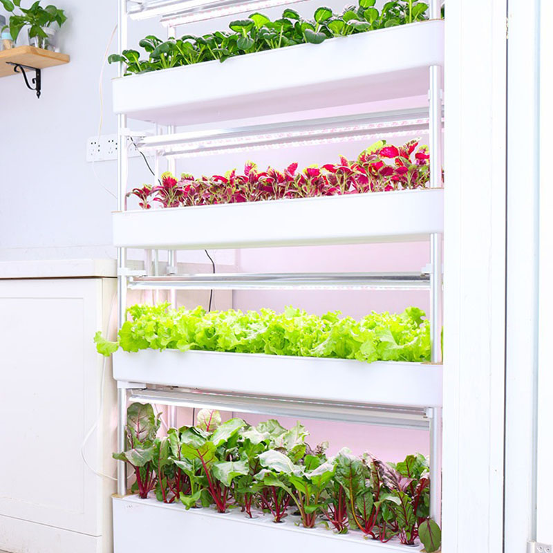 System uprawy hydroponiki Pion – Smart Garden Box recenzja i cena