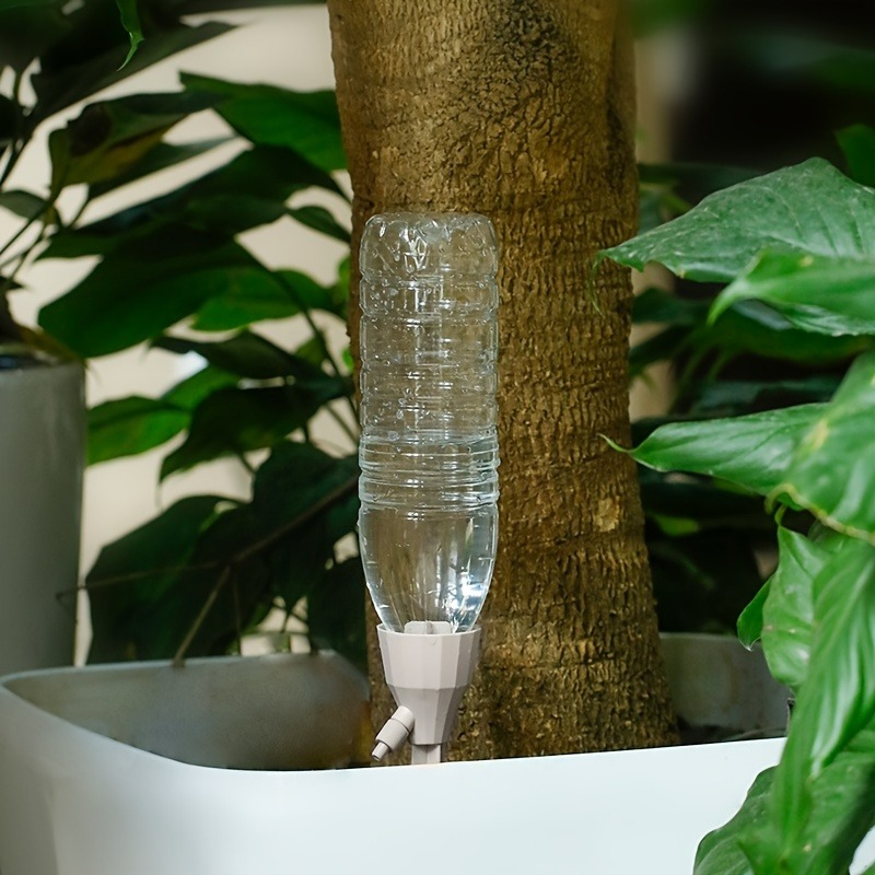 5 sztuk automatyczne urządzeni – Smart Zen Garden recenzja i cena