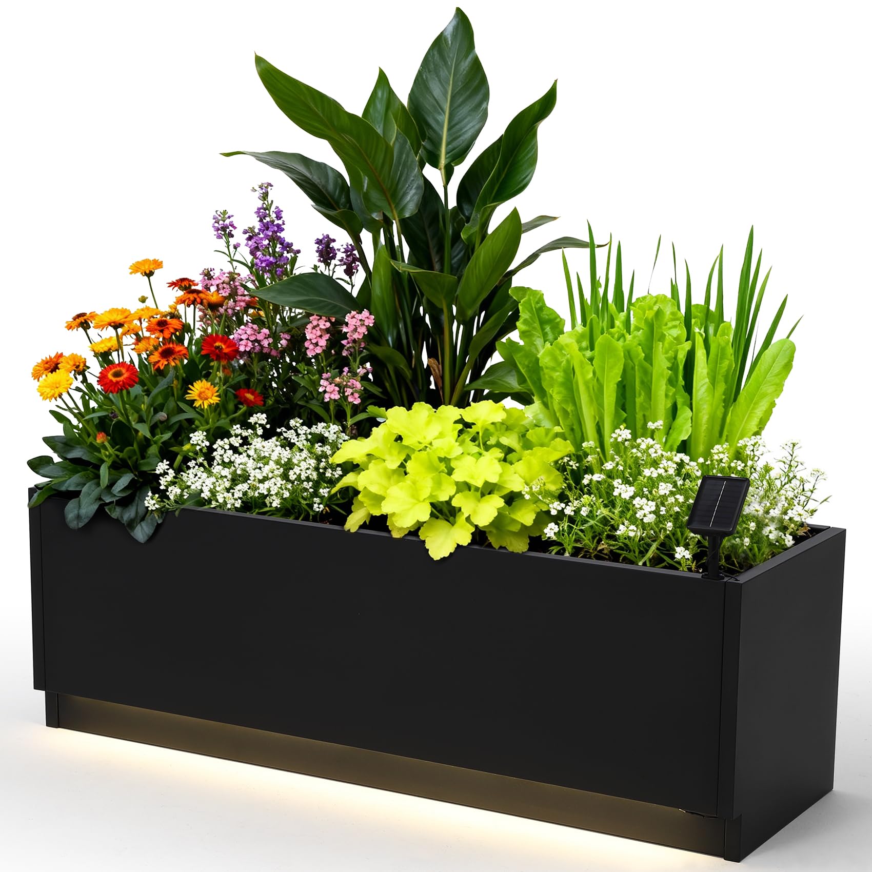 Metalowa skrzynia na rośliny L – Smart Garden Box recenzja i cena